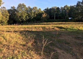 Terreno artigianale - terziario via vigna, Montefalcione - foto 3