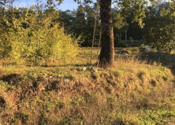 Terreno artigianale - terziario via vigna, Montefalcione - foto 4