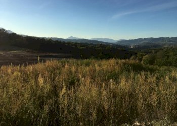 Terreno artigianale - terziario via vigna, Montefalcione - foto 5