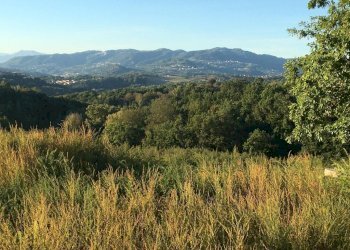 Terreno artigianale - terziario via vigna, Montefalcione - foto 6