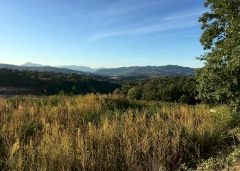 Terreno artigianale - terziario via vigna, Montefalcione - foto 7