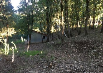 Terreno artigianale - terziario via vigna, Montefalcione - foto 8