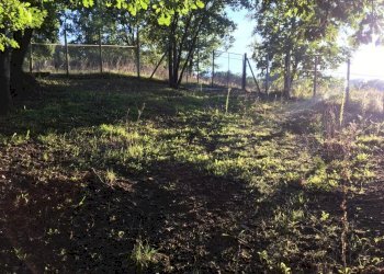 Terreno artigianale - terziario via vigna, Montefalcione - foto 9