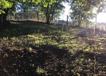 Terreno artigianale - terziario via vigna, Montefalcione - foto 10