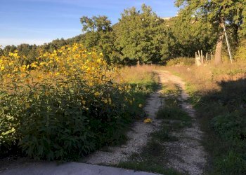 Terreno artigianale - terziario via vigna, Montefalcione - foto 11