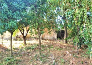 Independent house Teano - photo 7