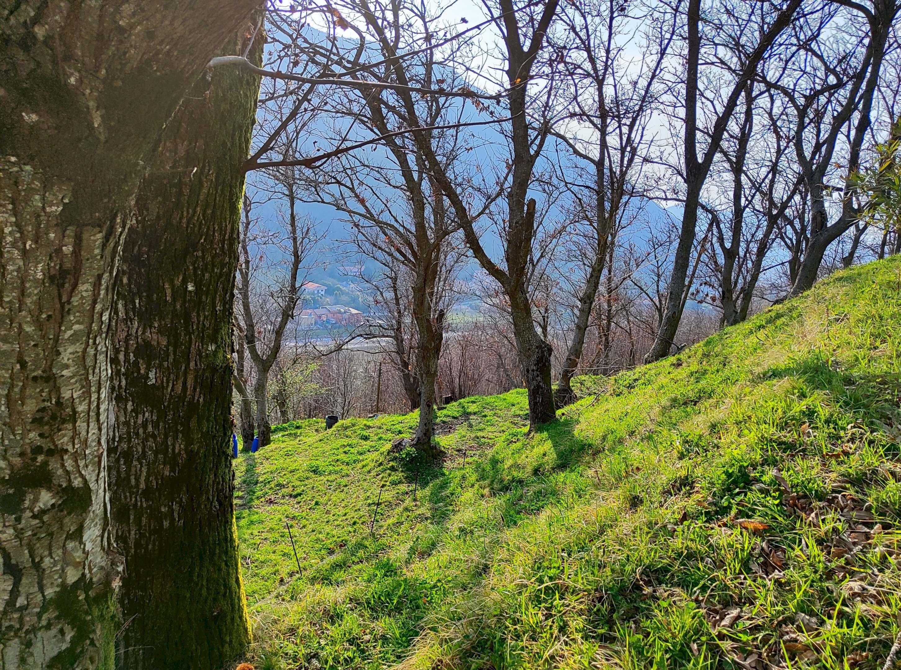 Casa indipendente via quattro cupe, Monteforte Irpino - foto 3