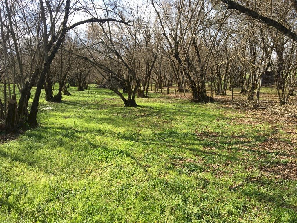 Terreno agricolo arcella, Montefredane - foto 3