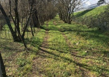 Terreno agricolo arcella, Montefredane - foto 5