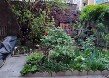 GIARDINO CONDOMINIALE.jpg - Two-room apartment Torino - photo 5