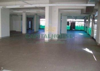 Commercial Activity Mirandola - photo 4