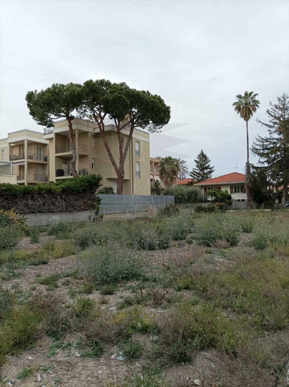 terreno - Agricultural land Via Gerolamo Rossi, Bordighera - photo 3