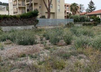 terreno - Terreno agricolo Via Gerolamo Rossi, Bordighera - foto 6