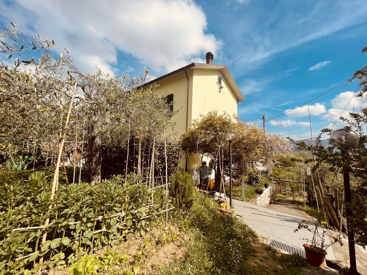 IMG_0153.jpg - Independent house Arcola - photo 3