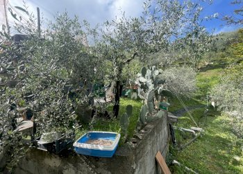 IMG_0147.jpg - Casa indipendente Arcola - foto 21