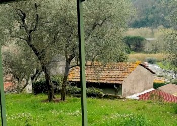 WhatsApp Image 2023-04-28 at 17.51.59.jpeg - Terratetto - Terracielo via stadano  snc, Aulla - foto 6