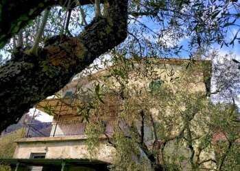 WhatsApp Image 2023-04-28 at 17.47.41.jpeg - Terratetto - Terracielo via stadano  snc, Aulla - foto 8