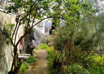 WhatsApp Image 2023-04-28 at 17.47.42.jpeg - Terratetto - Terracielo via stadano  snc, Aulla - foto 24