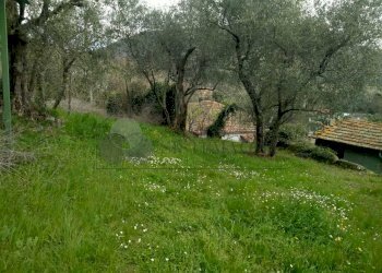 WhatsApp Image 2023-04-28 at 17.52.14.jpeg - Terratetto - Terracielo via stadano  snc, Aulla - foto 27