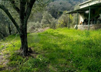 WhatsApp Image 2023-04-28 at 17.47.44 (1).jpeg - Terratetto - Terracielo via stadano  snc, Aulla - foto 30