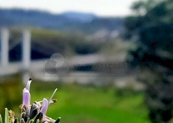 WhatsApp Image 2023-04-28 at 17.47.39 (1).jpeg - Terratetto - Terracielo via stadano  snc, Aulla - foto 12