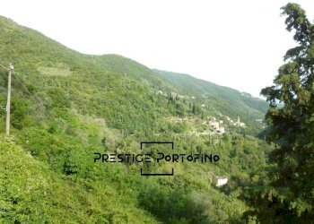 Casa indipendente Via Arbocò, Rapallo - foto 27