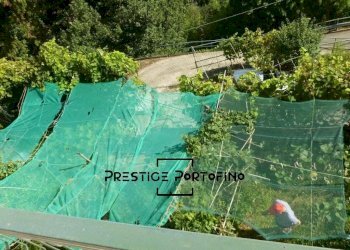 Casa indipendente Via Arbocò, Rapallo - foto 32