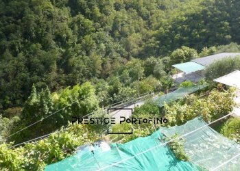 Casa indipendente Via Arbocò, Rapallo - foto 34