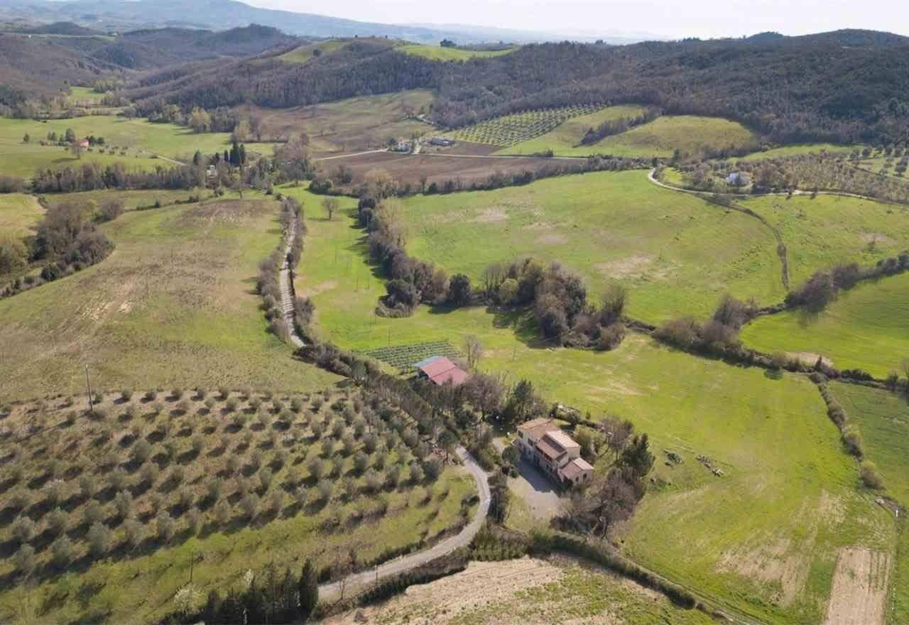 Azienda agricola Grosseto - foto 1