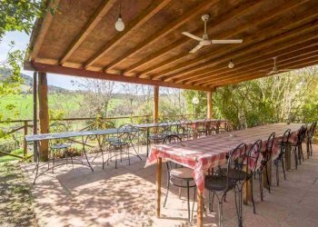 Farm Grosseto - photo 8