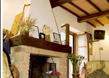 Farm Grosseto - photo 13