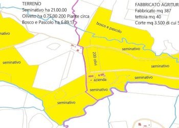 Farm Grosseto - photo 17