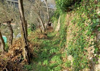 20230330_180916.jpg - Terreno agricolo Via Molinetti di Nervi 2, Genova - foto 1