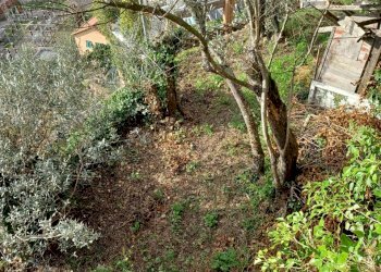 20230330_175636.jpg - Terreno agricolo Via Molinetti di Nervi 2, Genova - foto 2