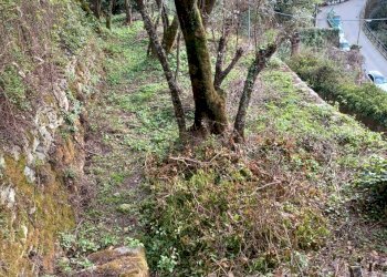 20230330_180909.jpg - Terreno agricolo Via Molinetti di Nervi 2, Genova - foto 5