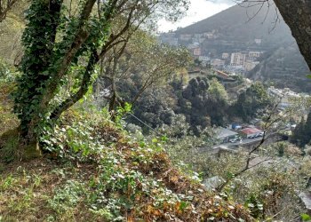 20230330_175615.jpg - Terreno agricolo Via Molinetti di Nervi 2, Genova - foto 6