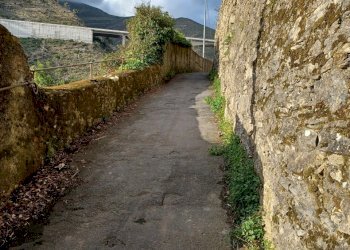 20230330_181429.jpg - Terreno agricolo Via Molinetti di Nervi 2, Genova - foto 8