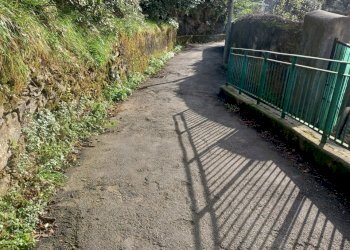 20230330_181432.jpg - Terreno agricolo Via Molinetti di Nervi 2, Genova - foto 9