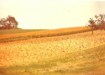 A.JPG - Villa via del tesoro, Ancona - foto 13