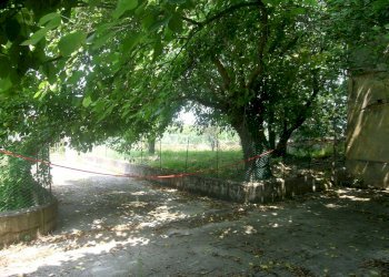 DSCN8808.JPG - Villa via del tesoro, Ancona - foto 16