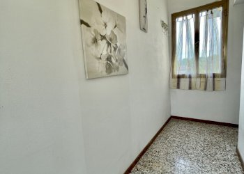 IMG_4337 2.jpg - Appartamento Pietrasanta - foto 1