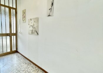 IMG_4349 2.jpg - Appartamento Pietrasanta - foto 2