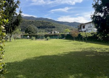 IMG_3814.JPG - Terreno agricolo Pietrasanta - foto 1