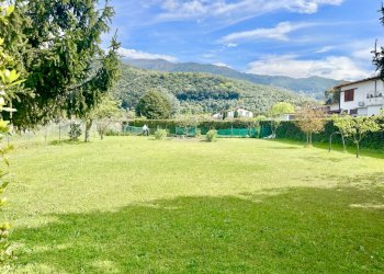 IMG_3815.jpg - Terreno agricolo Pietrasanta - foto 2