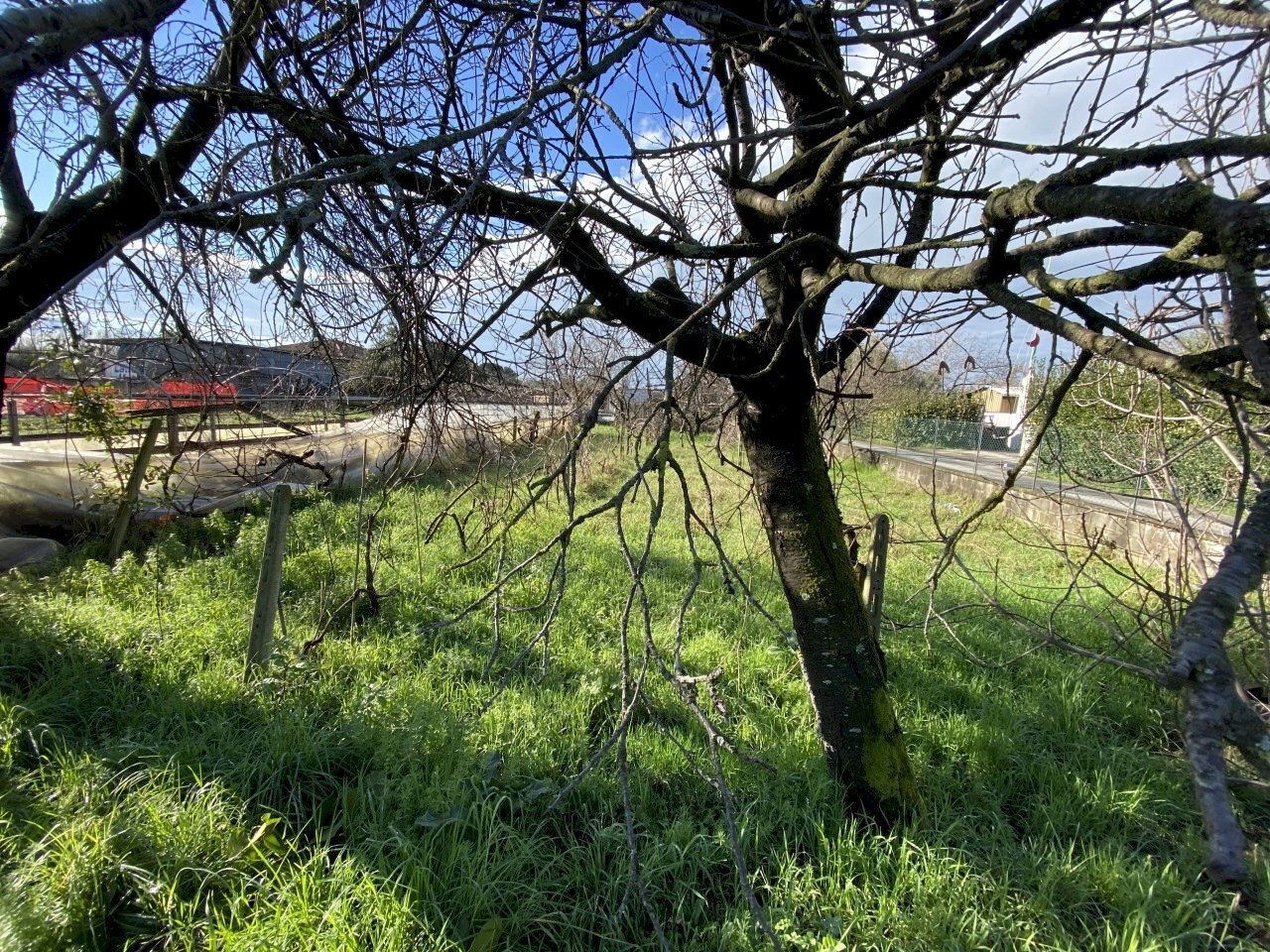 446874.jpg - Terreno edificabile Pietrasanta - foto 1