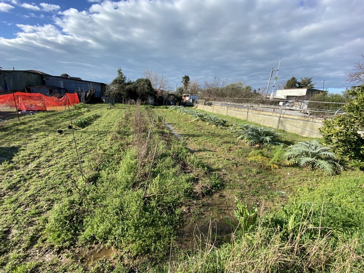 446876.jpg - Terreno edificabile Pietrasanta - foto 2