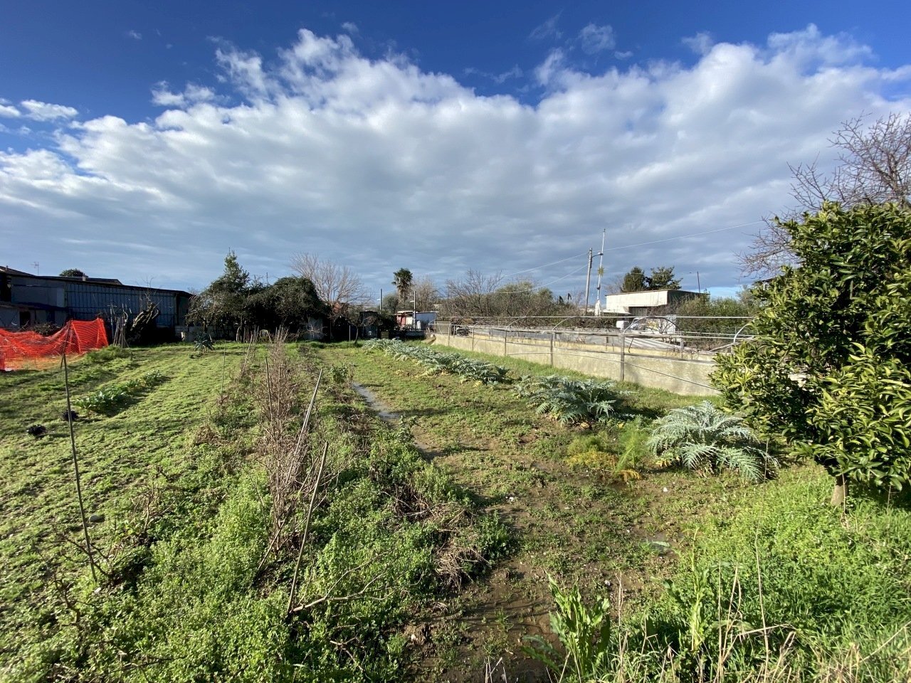 446875.jpg - Terreno edificabile Pietrasanta - foto 3