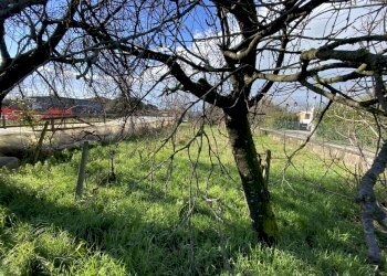 446874.jpg - Terreno edificabile Pietrasanta - foto 1