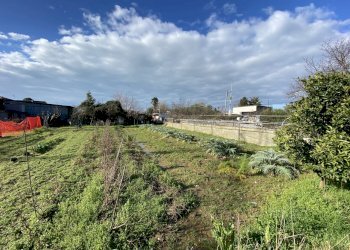 446875.jpg - Terreno edificabile Pietrasanta - foto 3