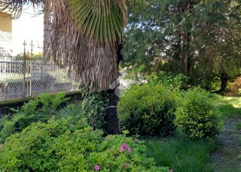 Villa Via sottocasa, Varallo Pombia - foto 22